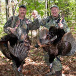 Why Turkeys Vanish from a Property and How to Help