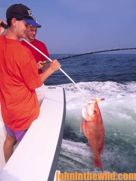 How to Catch More Saltwater Fish When Fishing on a Party Boat - John In The  WildJohn In The Wild