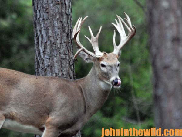 How GPS Solves Deer Hunting's Biggest Problem13