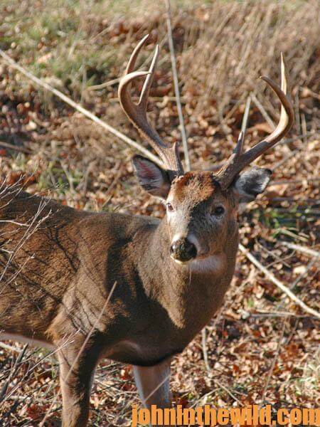 How GPS Solves Deer Hunting's Biggest Problem15