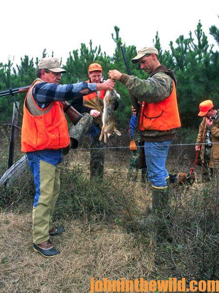 Hunting and Taking Green Field Rabbits16