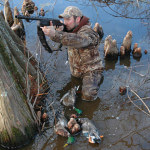 Jump Shoot Ducks at Mid-Day Loafing Areas and Roosting Sites