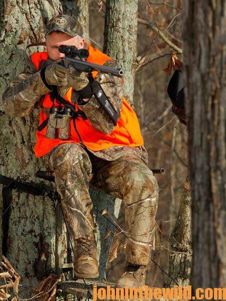 The Late Season Potential of Hunting Clear-Cuts for Deer - John In The ...
