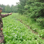 Why Hunt the Feeding Areas for Deer