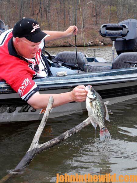 Catching Big Crappie with Brute Force - John In The WildJohn In