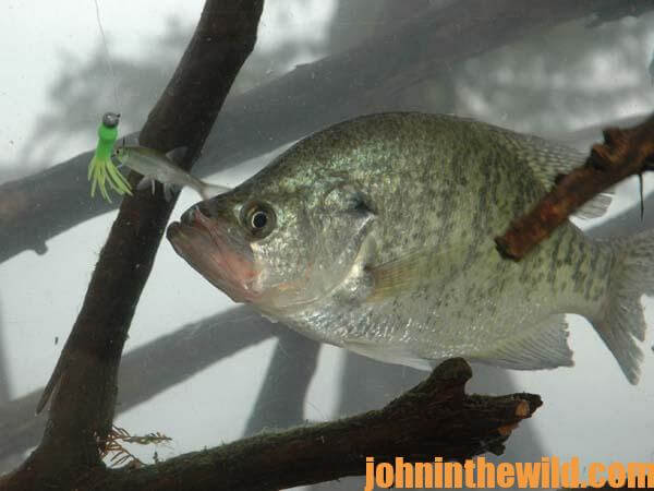 Know the Speed of Your Crappie Jig, Learn to Read A Depth Finder