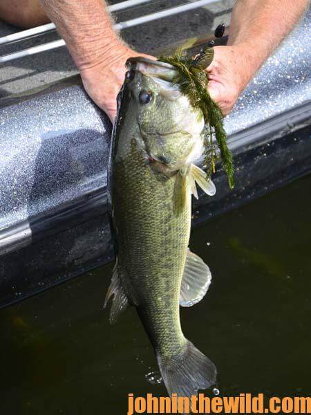 Not Catching Bass - Trust Your Gut with Scott Canterbury 2