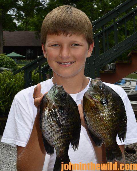 Billy Blakely Catches All Kinds of Fish at Blue Bank Resort on Tennessee's  Reelfoot Lake