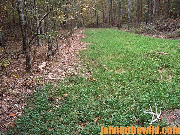 Trying New Tactics Before Deer Season Starts – An Important Key to Deer Hunting Success07