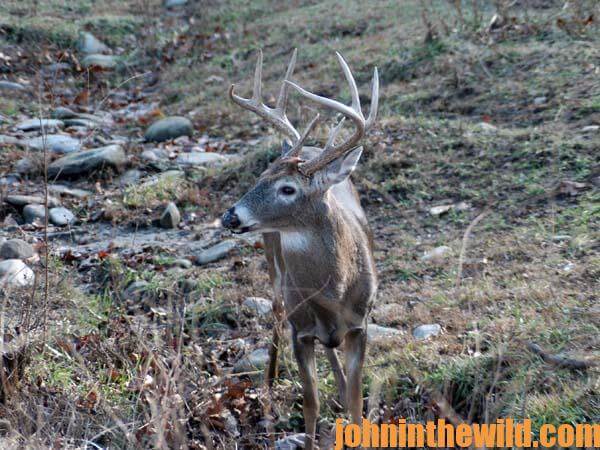 15 Use Thermals to Take More Deer