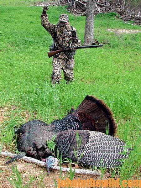 11 Transitional Turkey Hunting for More Success with Tracy Groves