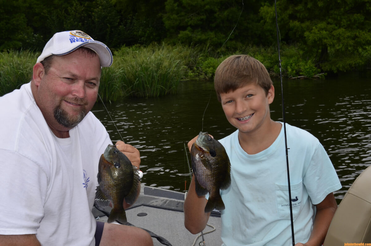 Bluegill Beds – They're Everywhere They're Everywhere - John In