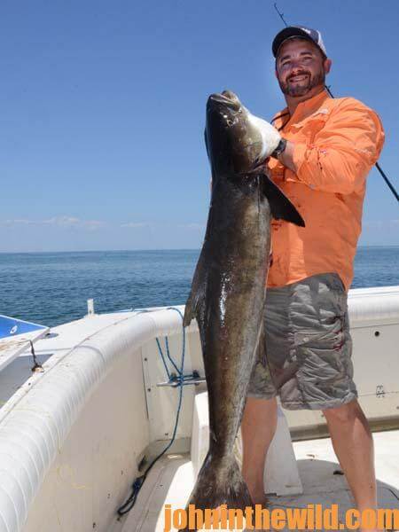 Bowfishing for Jill Zednick's Second World Record - a Black Drum - John In  The WildJohn In The Wild