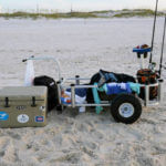 What You Need for Successful Surf Fishing