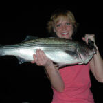 Understand How to Use the Bait Snake Lights to Catch Stripers