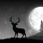 Moon Phase Does or Doesn’t Affect Deer Hunting