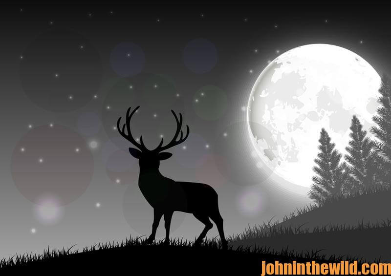 Moon Phase Does or Doesn’t Affect Deer Hunting John In The WildJohn