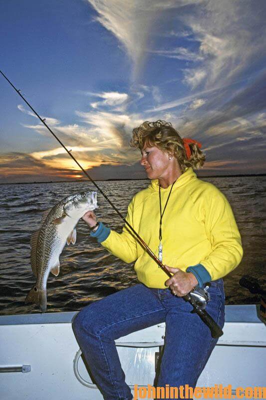 Identifying the Best Live Bait for Speckled Trout and Redfish - John In The  WildJohn In The Wild