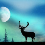 The Deer Rut and the Influence of Moon Phase