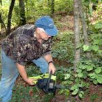 What Sustained-Yield Deer Management Is