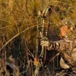 Learn How to Judge Distance when Bowhunting