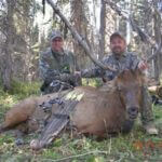 Learn How to Find Elk and How to Get Close to Them with Bill Custer
