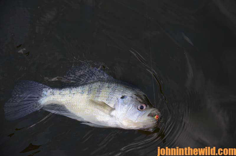 Fish with Light Tackle and Learn to Use Your Depth Finder for