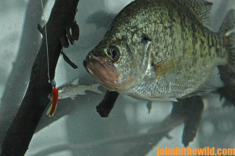 How to Catch Cold Water Crappie in January with Ohio's Bob Jones