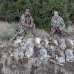 Understanding Coyotes and Taking Them