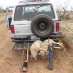 Blocking Coyotes and Using Other Tactics to Hunt Them