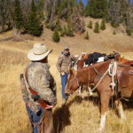 How to Conduct a Wilderness Bow Bull Elk Hunt