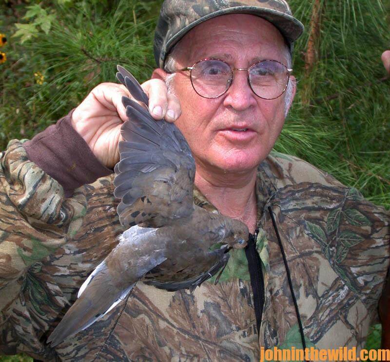 Selecting and Creating Stand Sites for Hunting Doves and Using ...