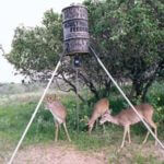 Know about the Deer on your Land