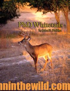 Cover: PHD Whitetails