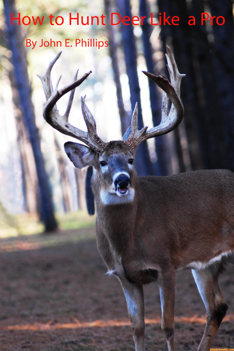 How To Determine Wind Direction To Hunt Deer Better - John In The ...