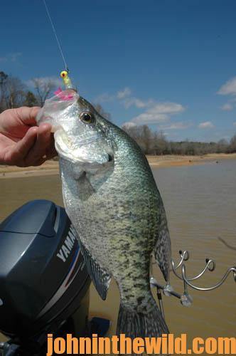 How to Catch Wintertime Crappie with Whitey Outlaw - John In The WildJohn  In The Wild