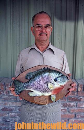 Where to Find and How to Take Big Bream - John In The WildJohn In The Wild