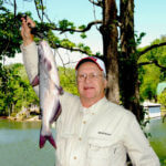 Catch Lots of Catfish in Little Waters