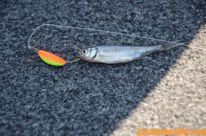 Ice Fishing Lures Crappie