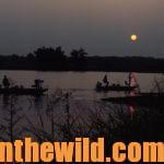 Hot Weather Largemouth Bass at Night in Lakes