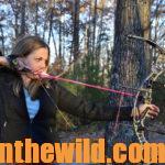 The Importance of Targets, Sights and Clothing to the Bowhunter