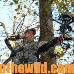 Mistakes of Bowhunters Day 2: Ignoring the Wind and Overusing a Stand When Bowhunting Deer