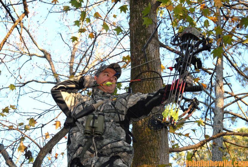 Mistakes of Bowhunters Day 2: Ignoring the Wind and Overusing a Stand ...
