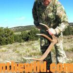 How to Find an Elk To Hunt with Al Morris Day 3: Hunt the Main Rut for Elk