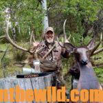 How to Find an Elk to Hunt Day 5: Learn Al Morris’ Secrets to Taking Elk