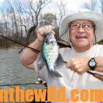 Catching Crappie in October and November Day 4: Learning More Fall Crappie Tactics
