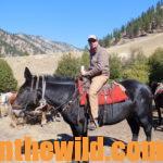 Enjoying a First Time Backcountry Elk Hunt Day 1: Finding a Backcountry Elk Outfitter