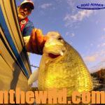 Catching Crappie in October and November Day 1: Taking Warm Weather Crappie with Depth Finders