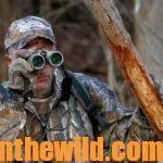 Short-Cuts to Bowhunting Deer Success Day 5: Plan Your Shot to Take a Deer