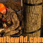 Tree Stands – Friends or Foes for Deer Hunters Day 4: Why Deer Hunters Like Ladder Stands and Safety Harnesses
